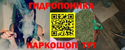 мдпв Лесосибирск