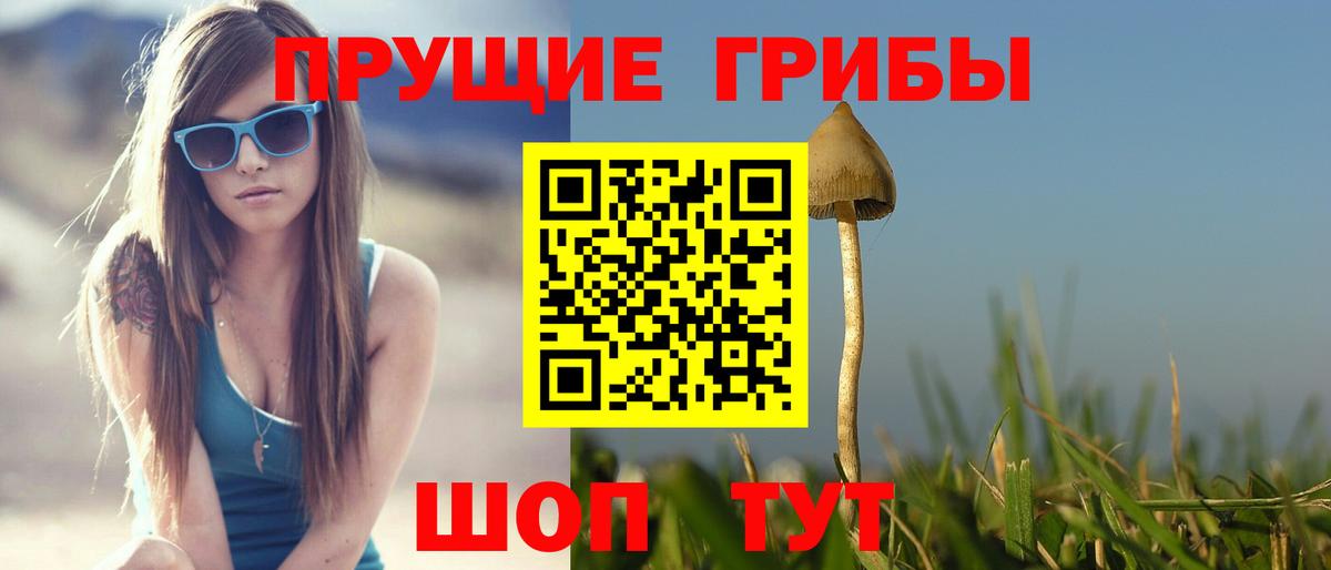 Шелехов  Псилоцибиновые грибы MAGIC MUSHROOMS  Вход с VPN 
