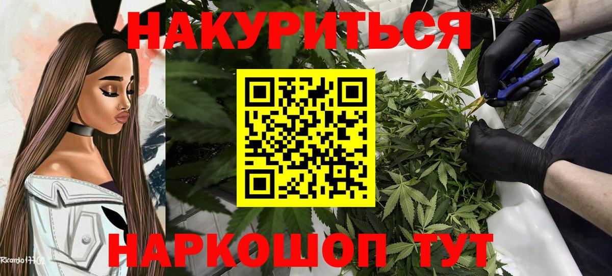Шишки марихуана OG Kush Шелехов